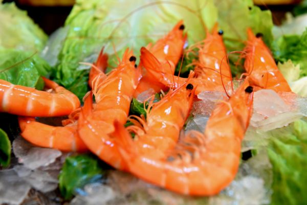 湛江对虾